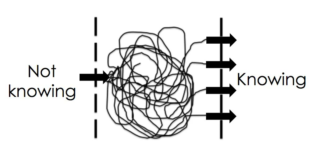 mark webster 🪸 tweet media