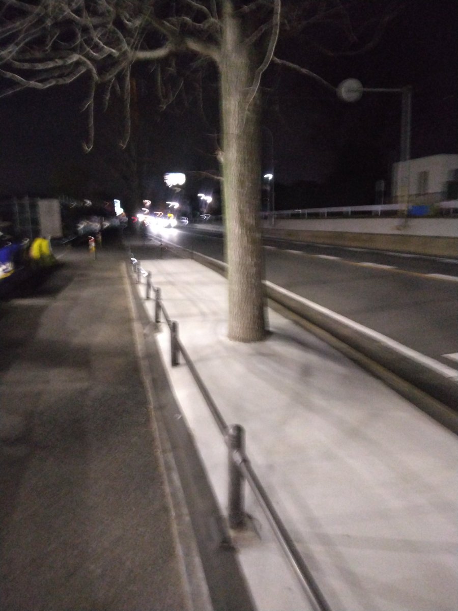 clhtk__'s tweet photo. えっ、木をコンクリで埋めるの？？ https://t.co/mbgjM03nf3