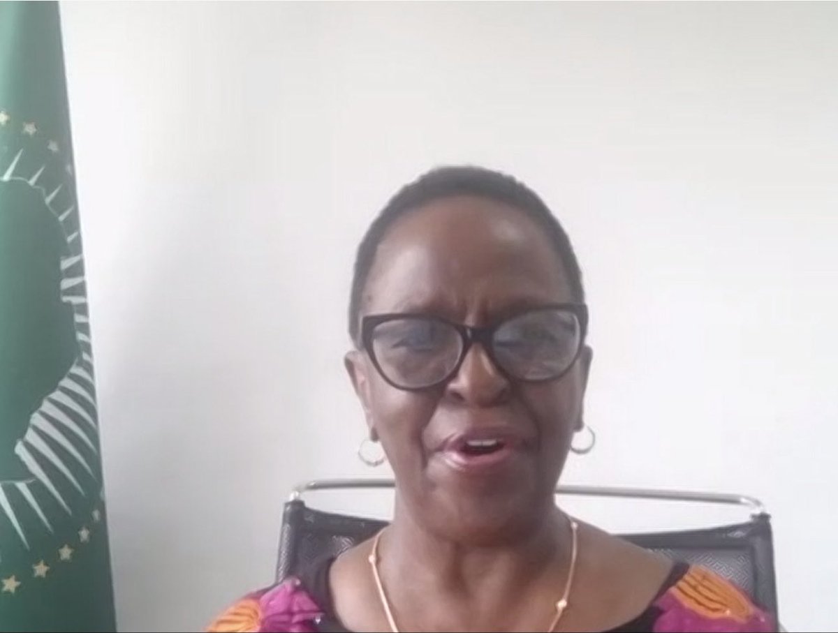 African Union Political Affairs Peace and Security tweet media