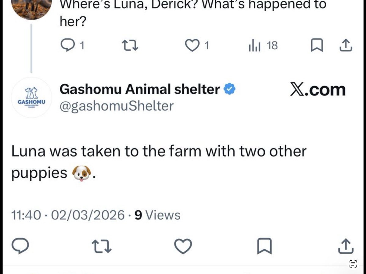 Harry 🇬🇧 tweet media