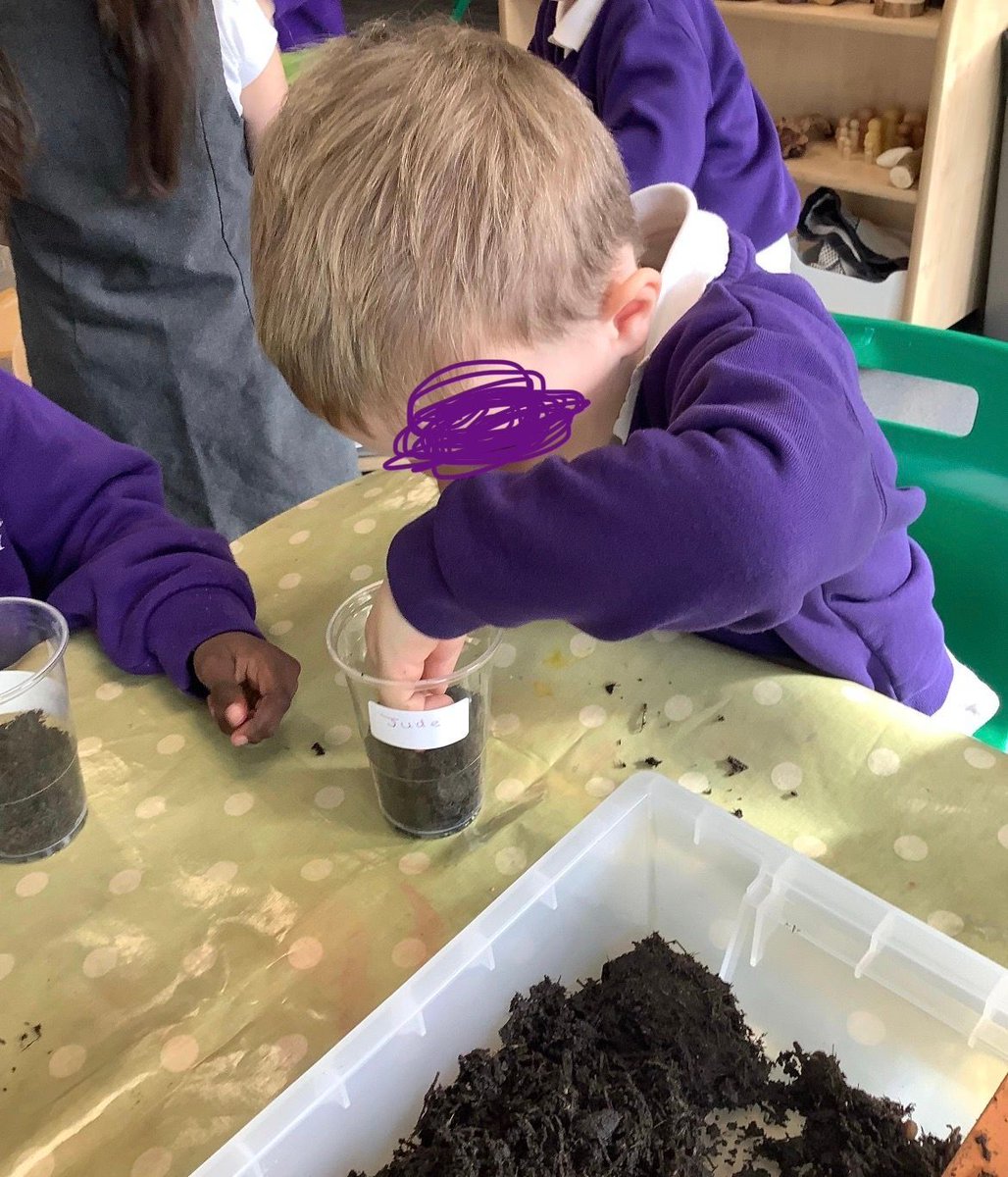 Danesholme Infant Academy tweet media