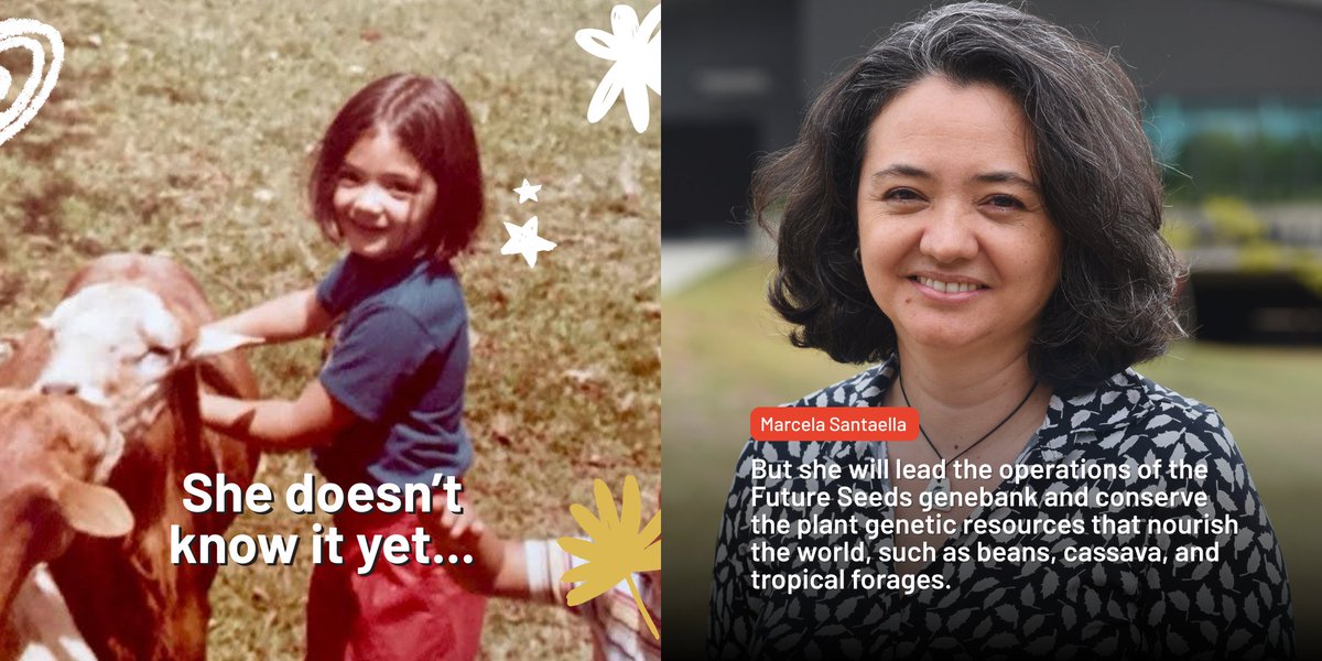 Alliance of Bioversity International and CIAT tweet media