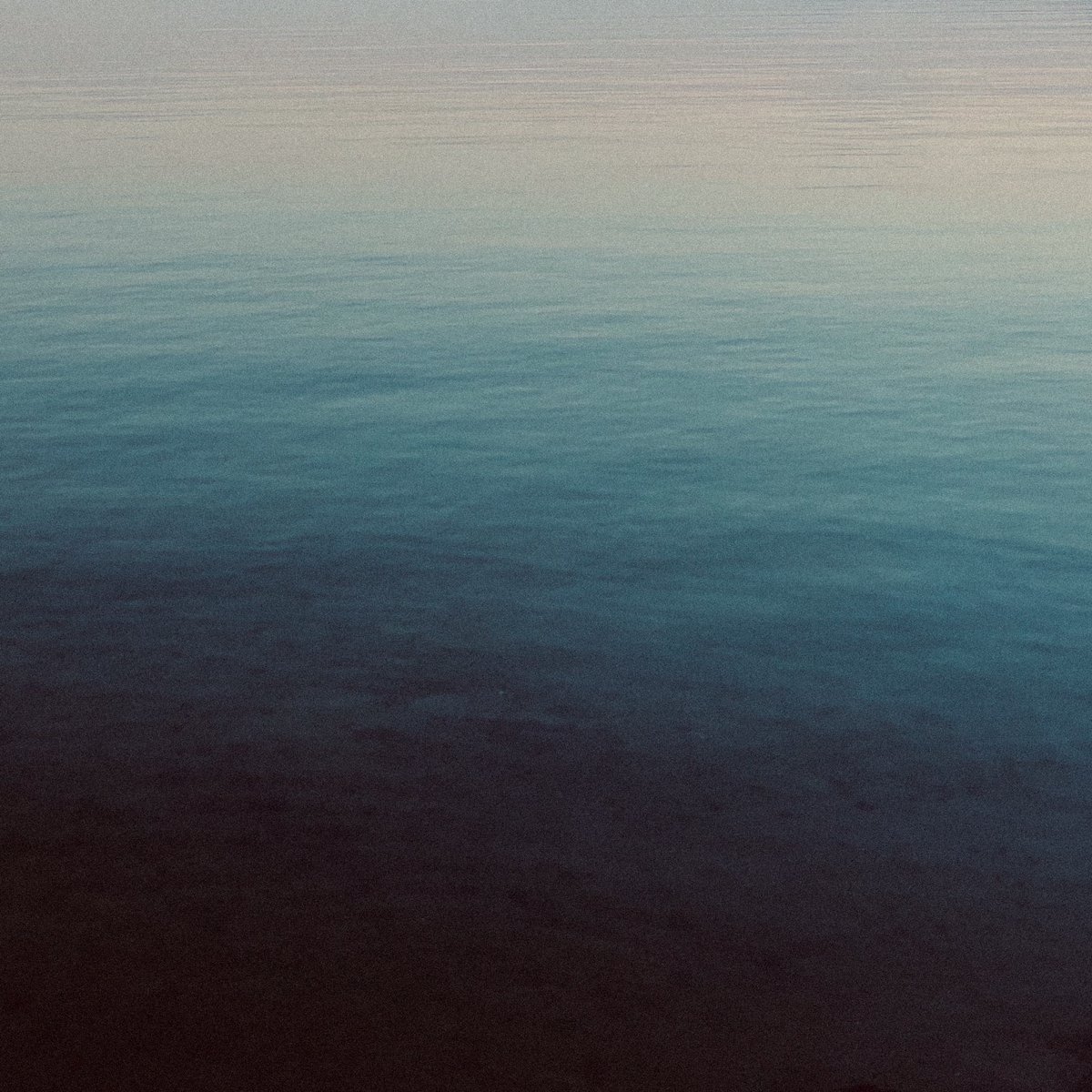 Hideyuki Hashimoto tweet media