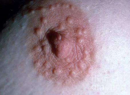 Modern Health tweet media