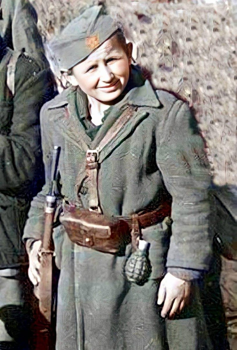 Kosta Konstantinović 🇪🇺🇺🇦🇬🇪 tweet media