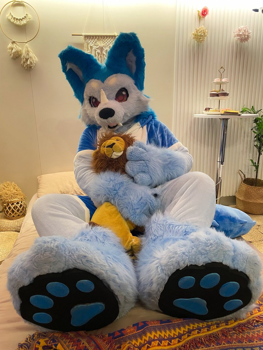 星期一下班要和獅子還是狗狗一起睡呢😊

#BlueMonday
📸：<a href="/takuma__0104/">撻熊</a>