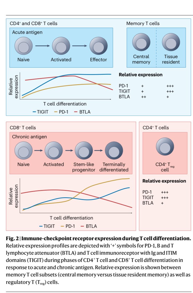 Andreu Vilaseca tweet media