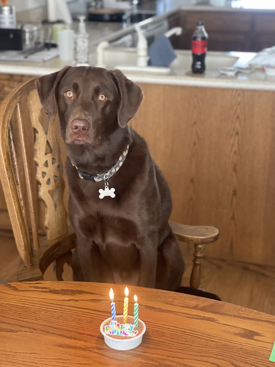 Richard Young tweet media