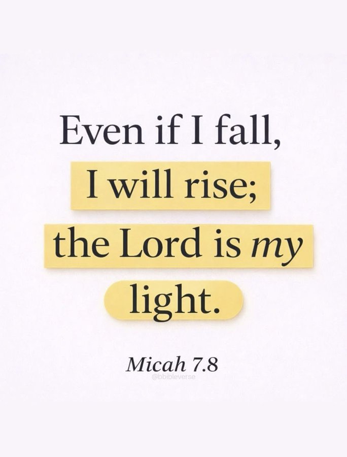 Bible 365 tweet media