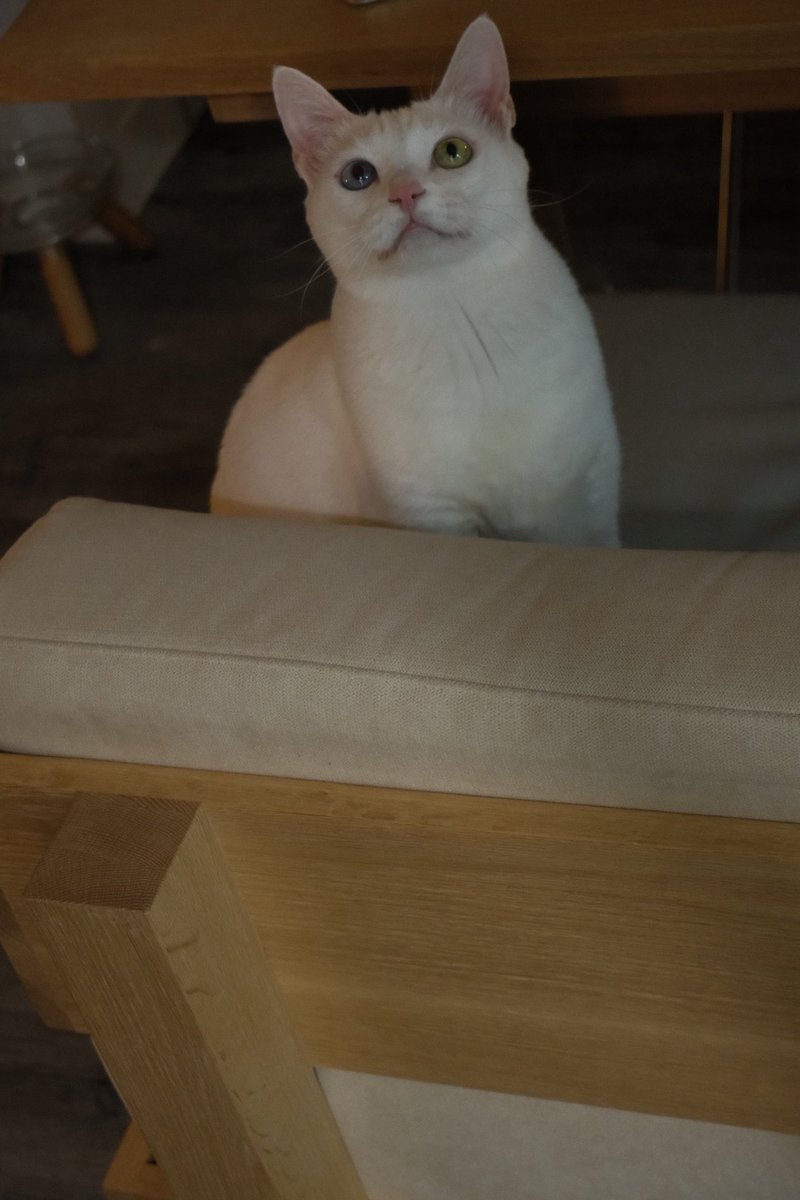 An Yujin tweet media