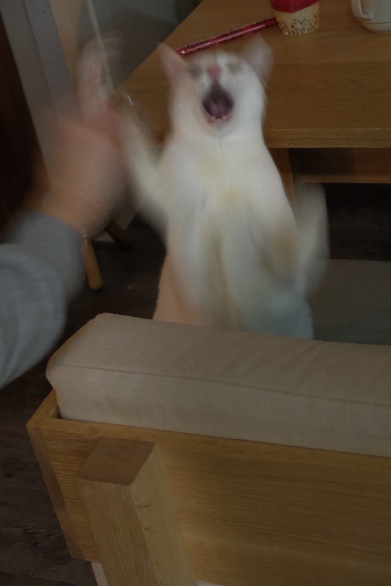 An Yujin tweet media