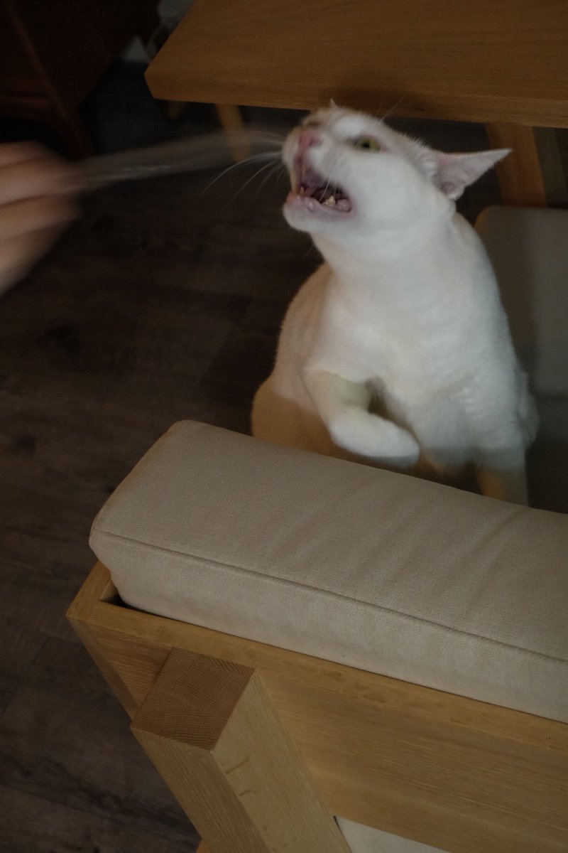 An Yujin tweet media