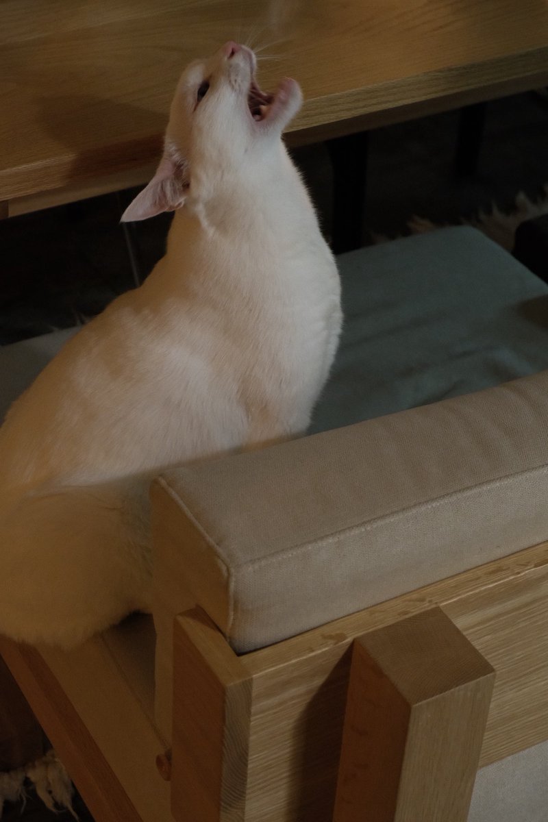 An Yujin tweet media