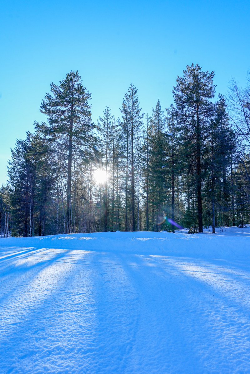 𝔸𝕟𝕤𝕚𝕤 𝔸𝕟𝕔𝕠𝕧𝕤 tweet media