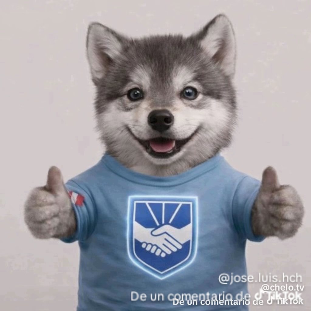 Cris_LOC94's tweet photo. @PulmonDeSusan7 @rlopezaliaga1 Cuanto te está pagando Porky?
Quiero crearme una cuenta y hacer Publicidad Fake a Keiko

#ElLoboPrimero 💙 https://t.co/szDoc7FvZf