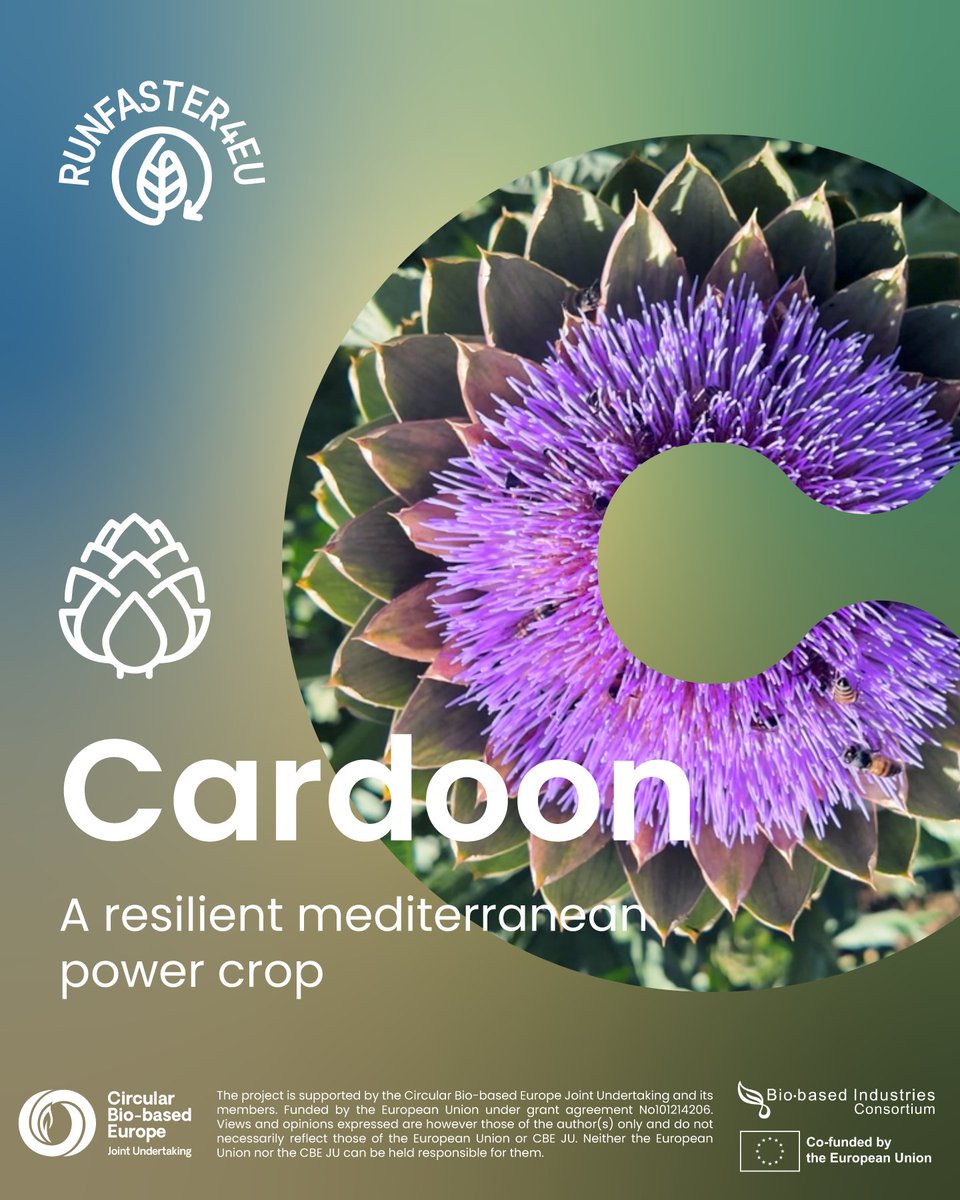 RUNFASTER4EU 🇪🇺 tweet media