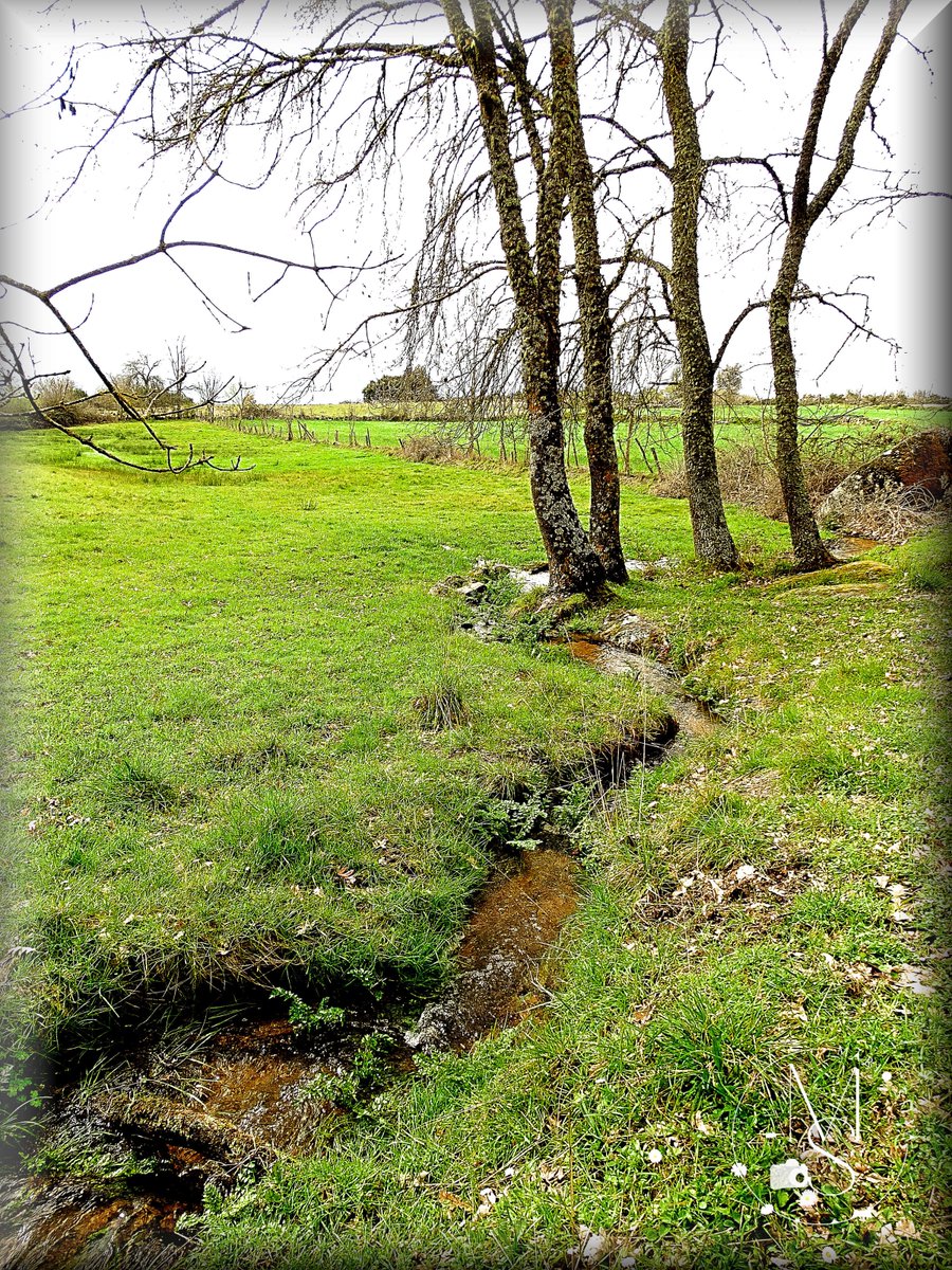 Mário Silva - Fotografia & Pintura tweet media