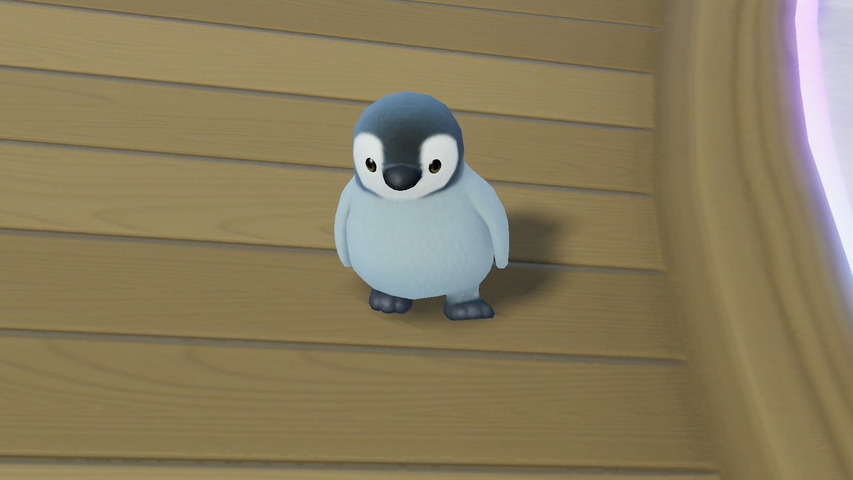 ぺんこ tweet media