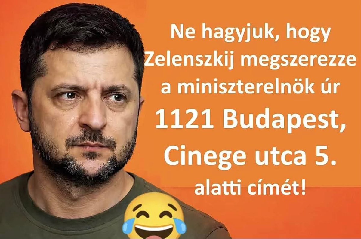 László H. tweet media