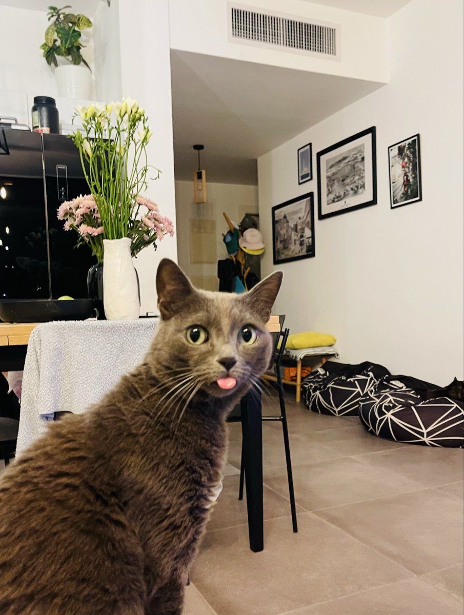 Да уж,Даша tweet media