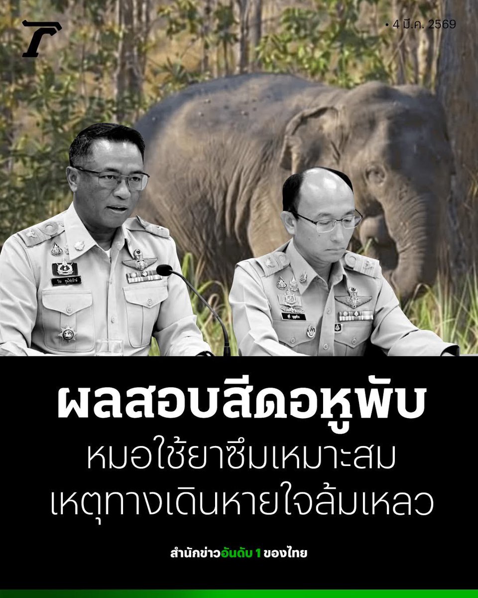 เหมาะสมพ่อแม่มึงดิ!! ใช้ยาซึมถึง 5 ครั้งกับช้าง 5 ขวบที่ยังเคี้ยวอ้อยคาปาก กระเพาะยังไม่ทันย่อย มึงเล่นยิงยาซ้ำซากเหมือนเอาให้ตาย ไม่ได้หวังให้ซึม ตอนนั้นสารภาพว่าคำนวนอายุช้างผิดให้ยาเกินขนาด ช้างมีอาการเครียด มาตอนนี้เหมาะสม สรุปคือช้างตายฟรี คนทำไม่ต้องรับโทษว่างั้น
#สีดอหูพับ