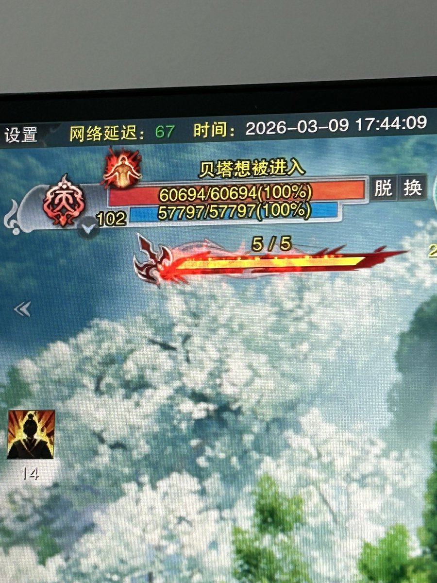我有吸猫瘾 tweet media