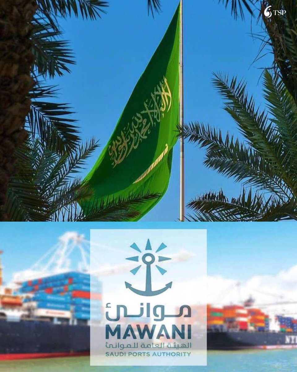 موانئ السعودية: طاقة استيعابية 18 مليون حاوية سنويًا على الساحل الغربي