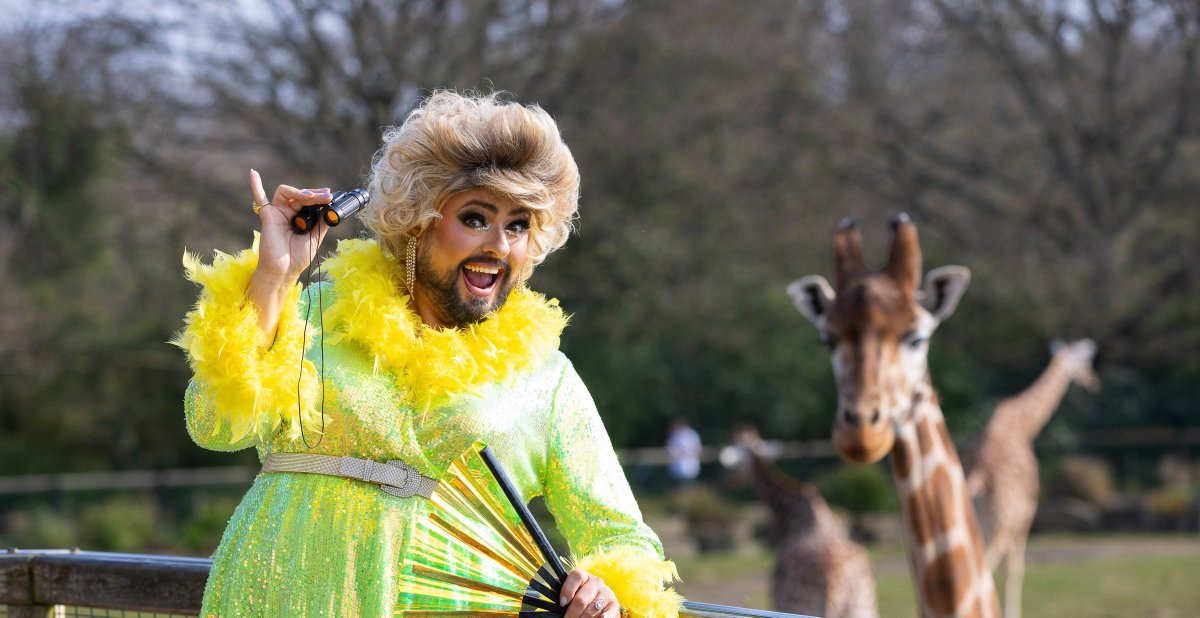 Peadar Tóibín TD tweet media