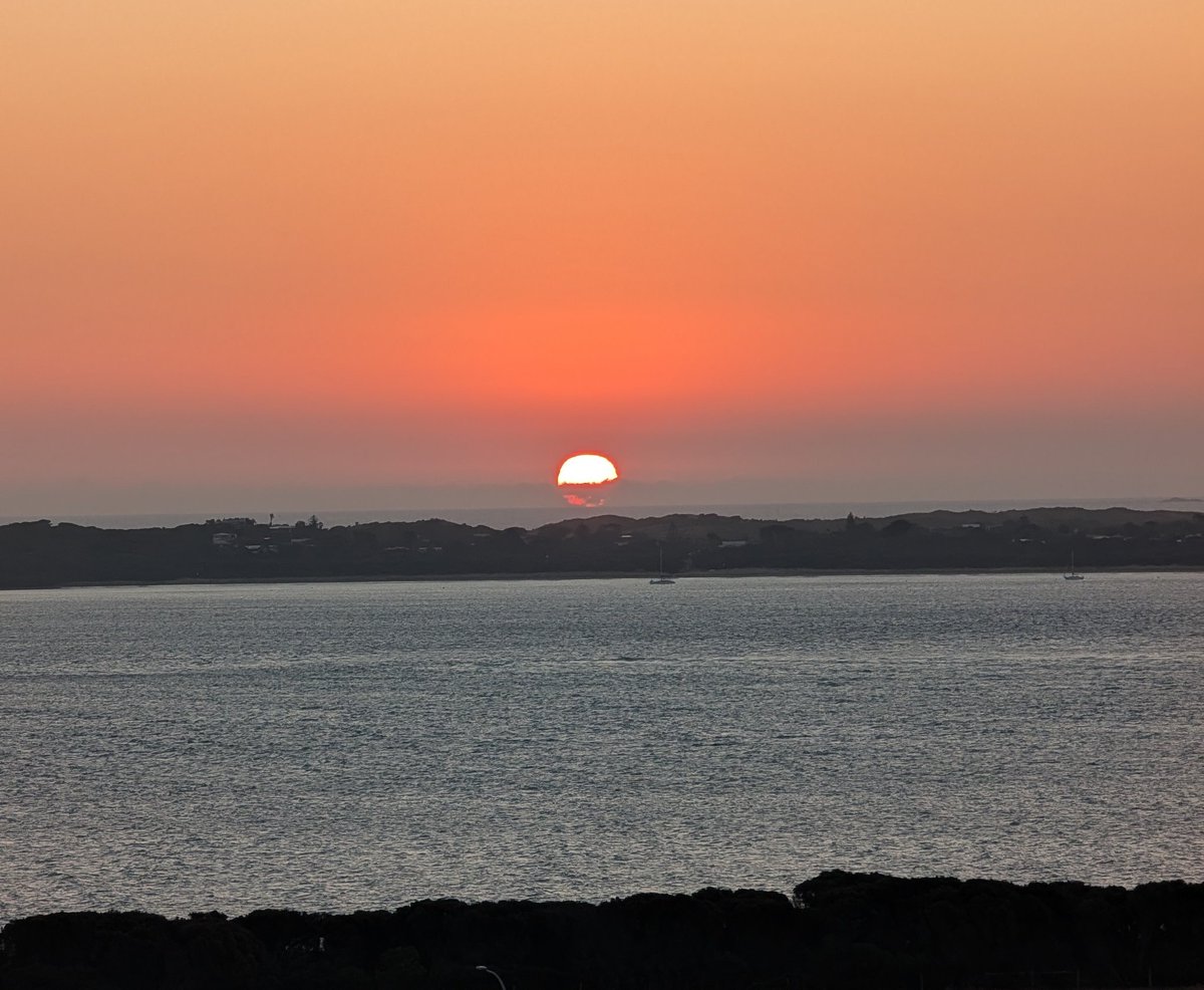 Tequila Scooter Miss 🤷 tweet media