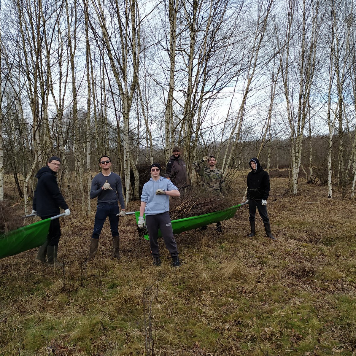 lpaaumont's tweet photo. P’tite compète ?

Hey les 1TCVA ! Nous avons « nettoyé » 1500 m² de la Réserve Nationale Naturelle de Versigny :
Sectionné des rejets de bouleaux avec des ébranchoirs (sécateurs), histoire de laisser la lumière entrer et que la biodiversité revienne en trombe ! https://t.co/By6dCMUjQy
