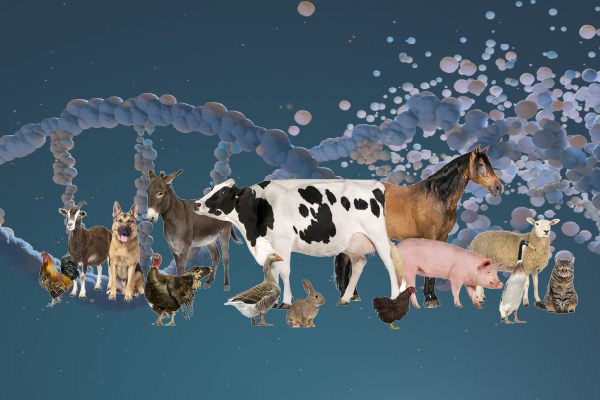 ELIXIR Europe tweet media