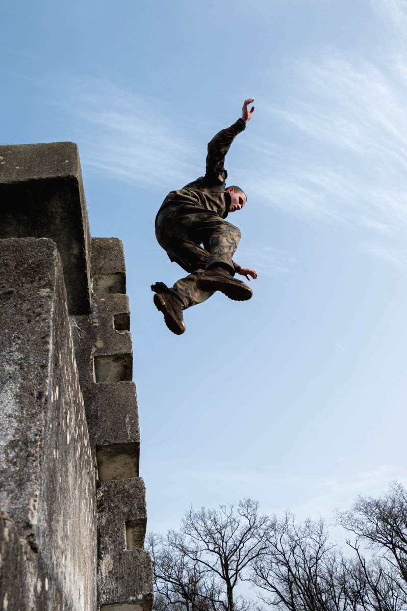 2e régiment de dragons tweet media