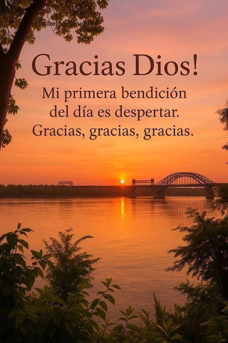 Mensajesluz🕉 tweet media