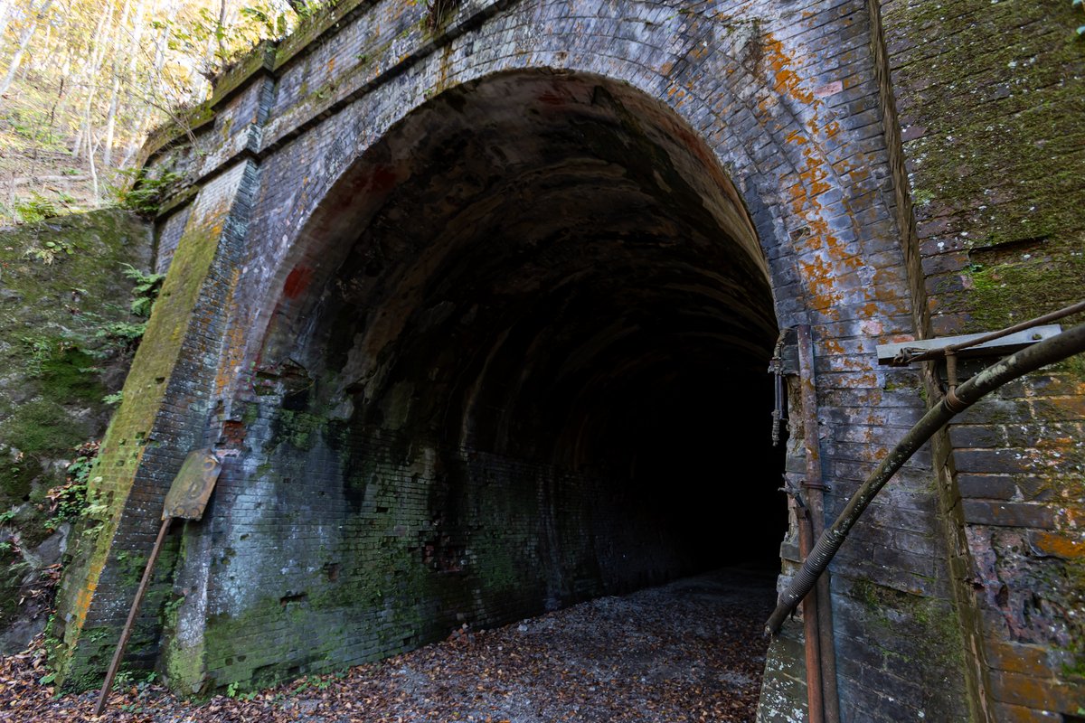 コスライ tweet media