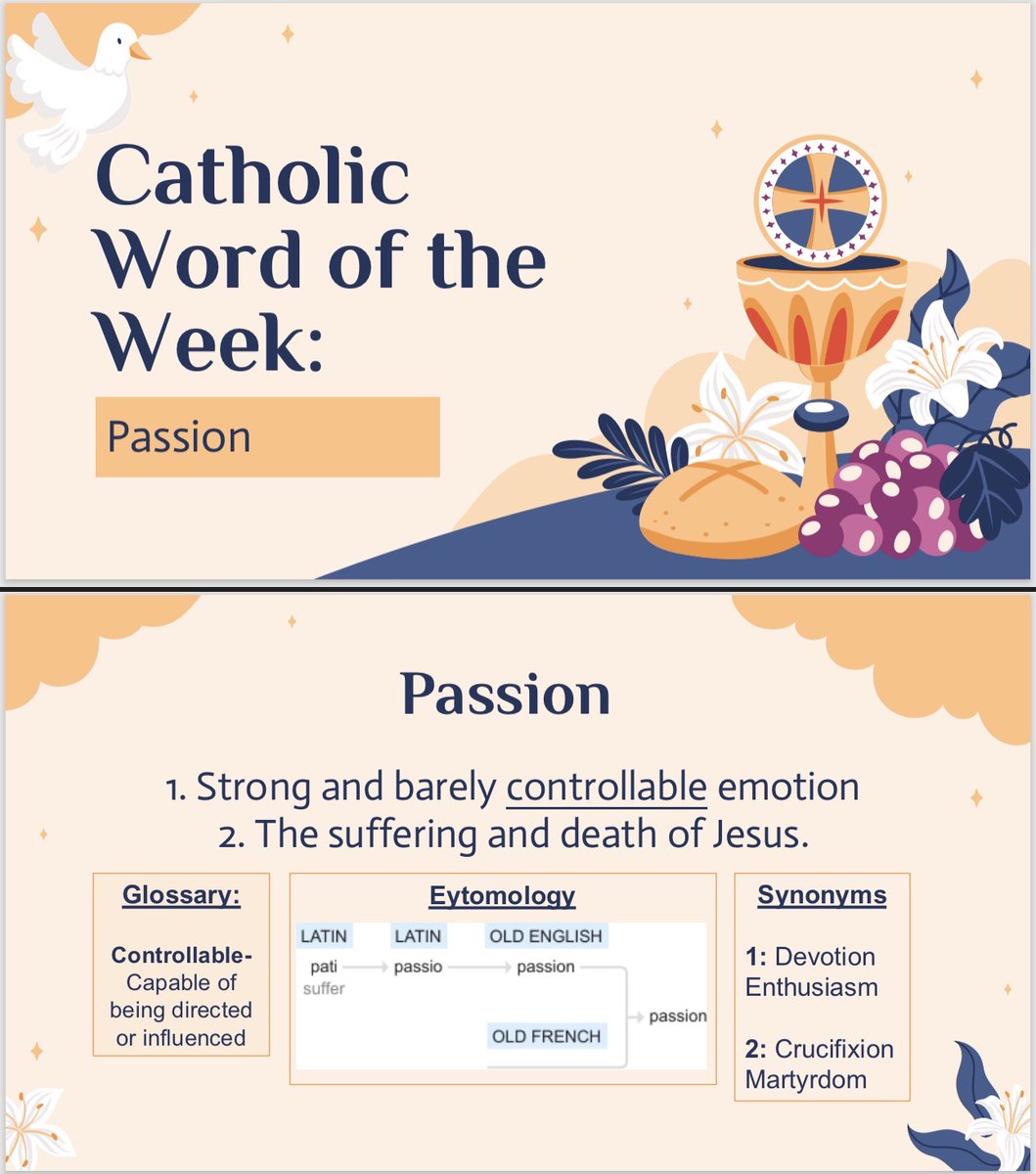 Holy Trinity Catholic School tweet media