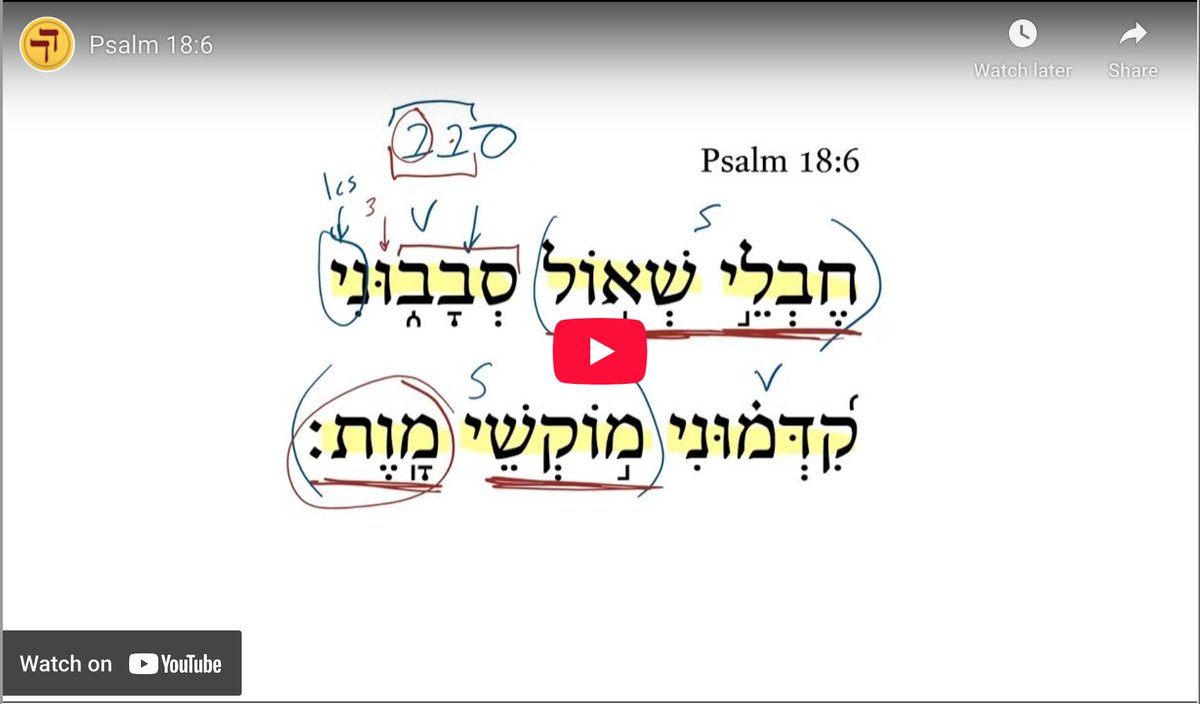 Daily Dose of Hebrew tweet media