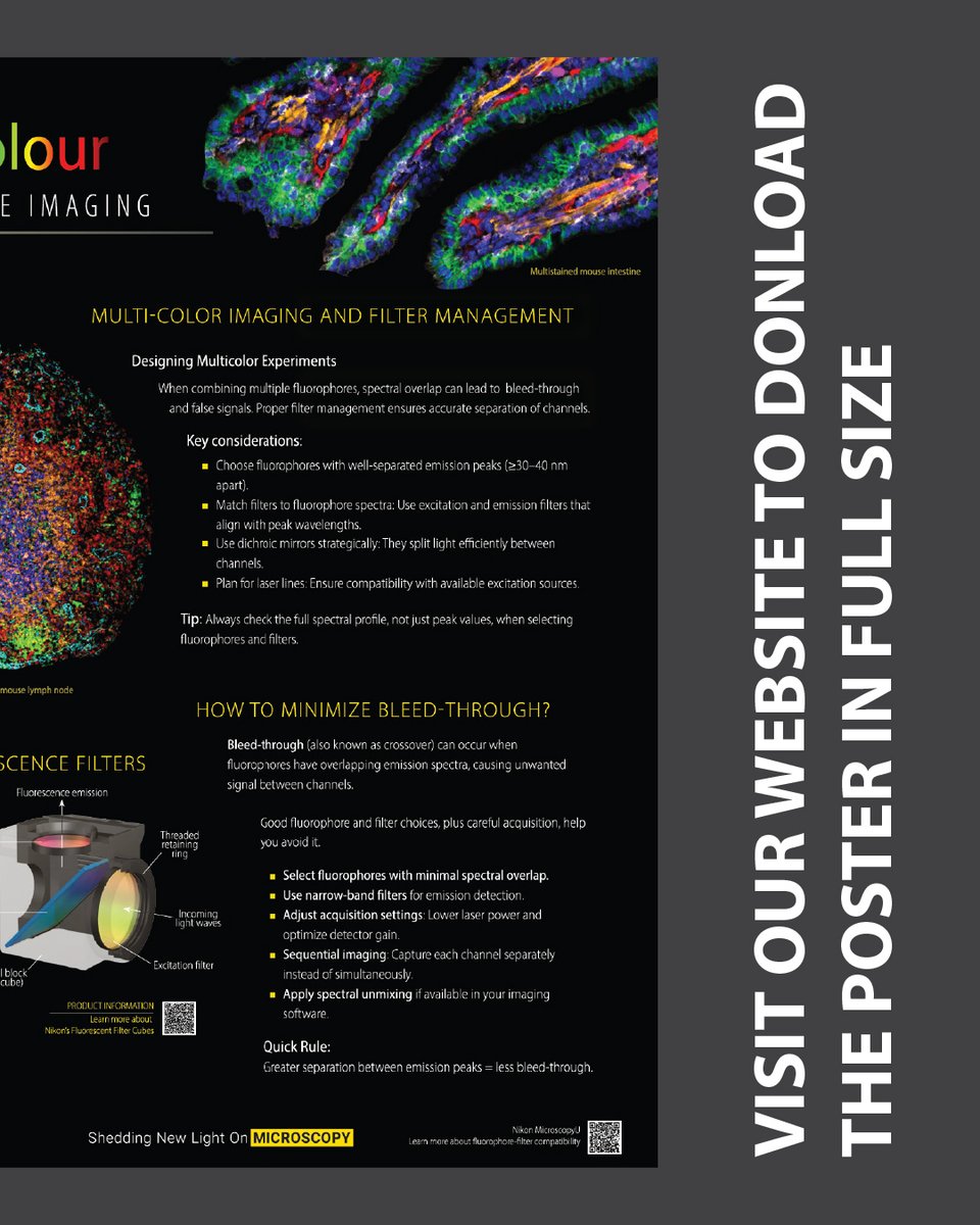 Nikon Microscope Solutions tweet media