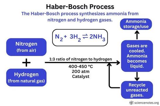 Russian Garbage Human tweet media