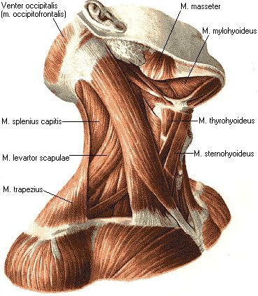 Magnus Vigsø tweet media