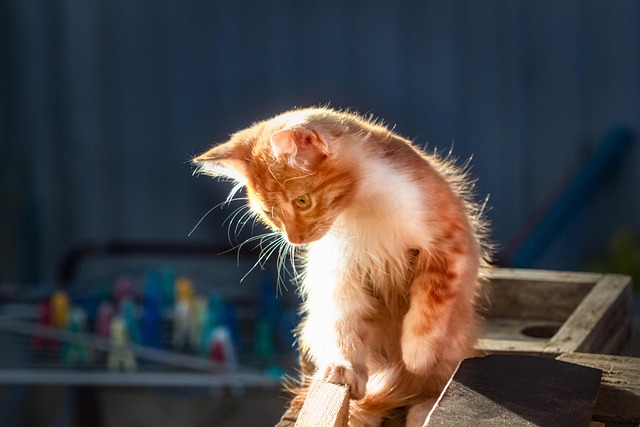 Amanda Gonzales tweet media