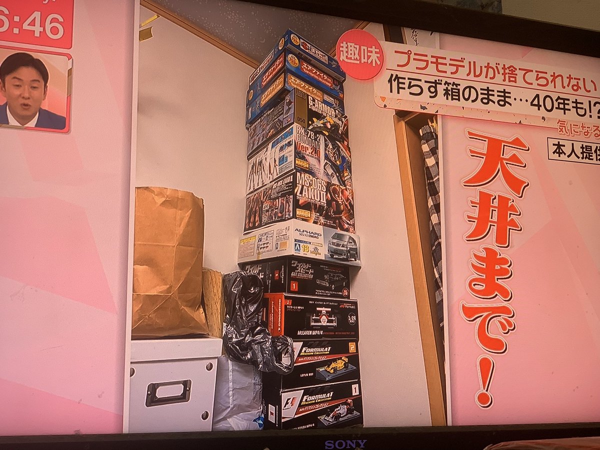 ポニ萌え⋈ tweet media