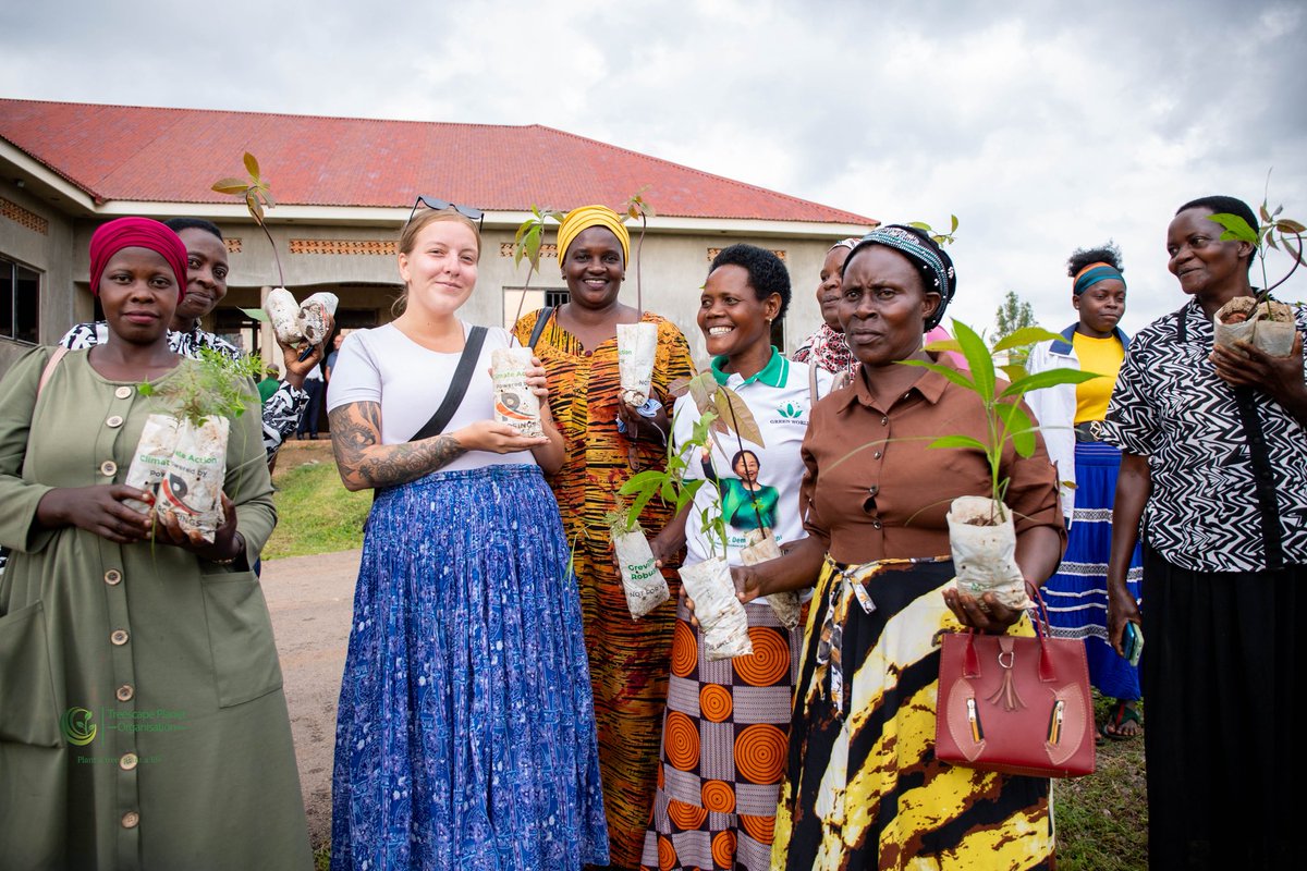 Treescape Planet Organization tweet media