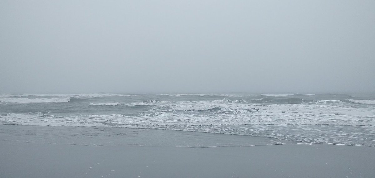 NextStop_Luna's tweet photo. 昨日、アメリカでは3月8日でした。もちろん真矢さんのことを想って、
お気に入りのLUNA SEAの服とSUGIZOさんのPEACEネックレスを身につけました。
友人たちを訪ねて海に行きましたが、
着いた瞬間、灰色の景色が自分の中で強く重なり、象徴的に感じて、
思わず感情が込み上げました。
#真矢  #LUNASEA https://t.co/W2bPnjHQ8P
