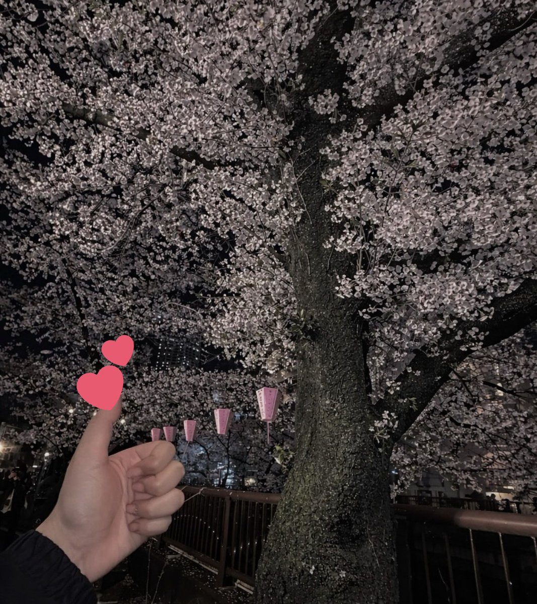 𝒦𝓊𝓇𝓊𝓂𝒾🎀 tweet media