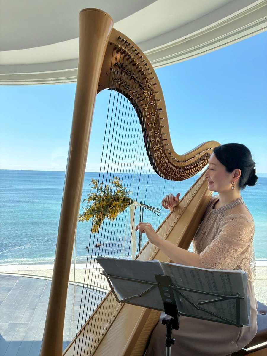 高山聖子 tweet media