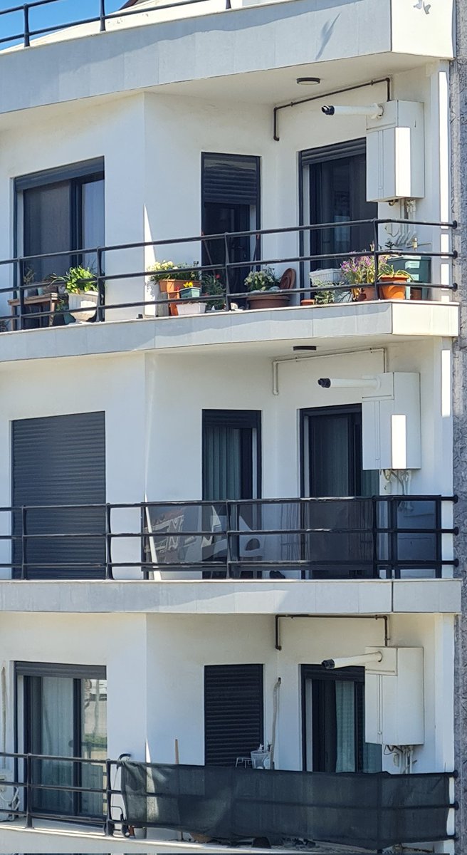 güneş çağlıer 🌱 tweet media