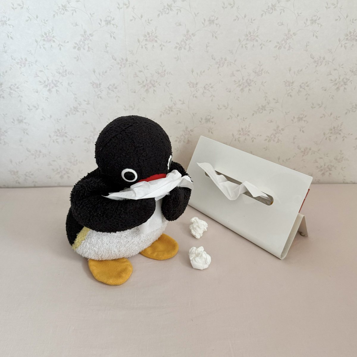 pingmyping tweet media