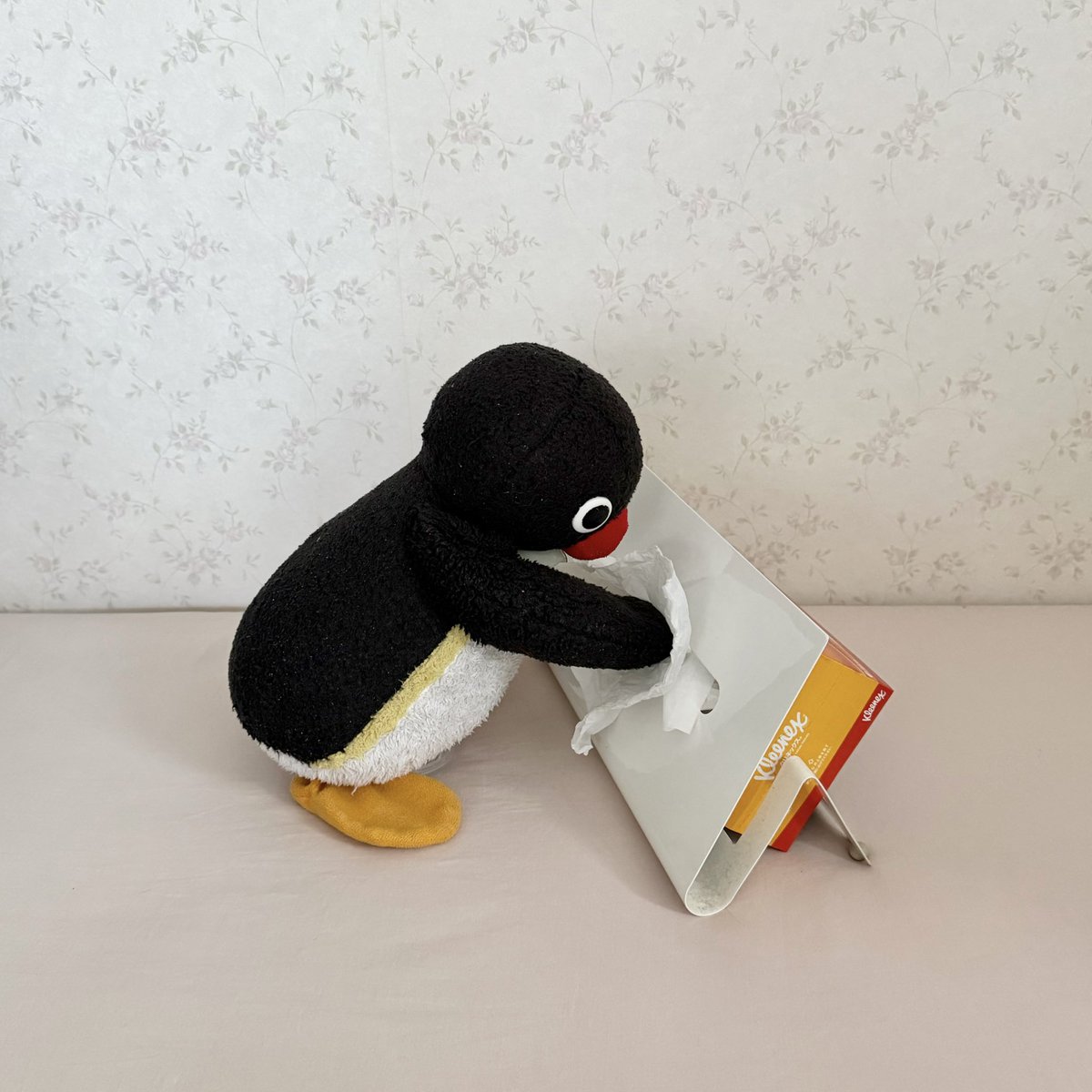 pingmyping tweet media