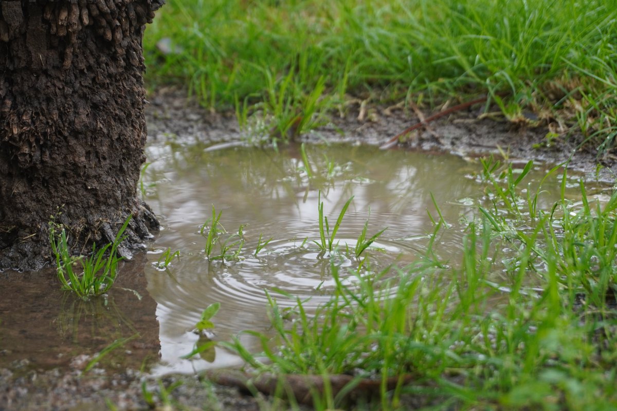 Medio Ambiente UPV tweet media