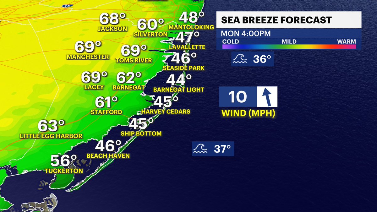 Mike Rizzo tweet media